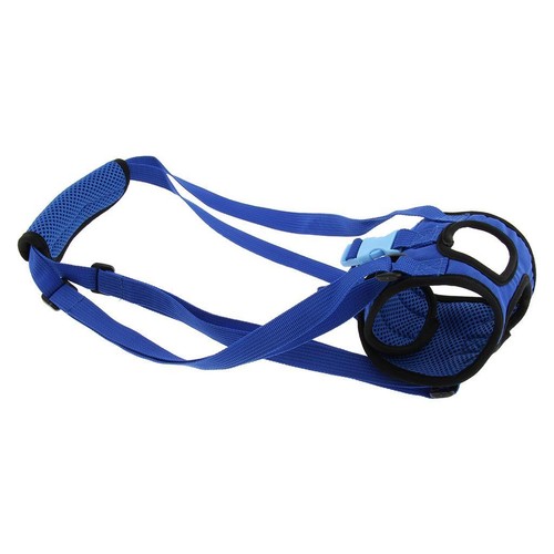Dog harness rear - harness,, support