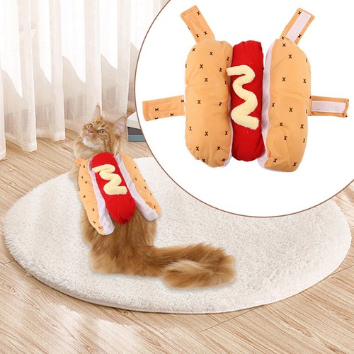 Dog hot costume funny - costume,