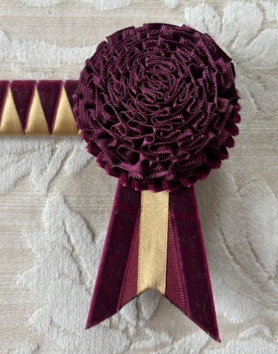 Fancy velvet showing browband - velvet,