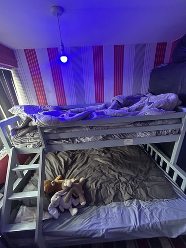 Grey wooden single bunk - wooden,