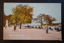The Promenade, Bideford, Devon Vintage Postcard
