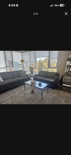Gray velvet traditional - gray,