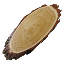 Acacia Trophy Shield Red Deer