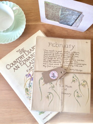 Edith holden pages - edith,