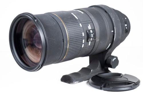 Sigma 500mm 3 ex apo - 50-500mm,