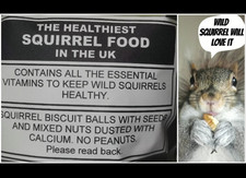 Healthiest squirrel food in the UK. 1kg healthy wild squirrel food  