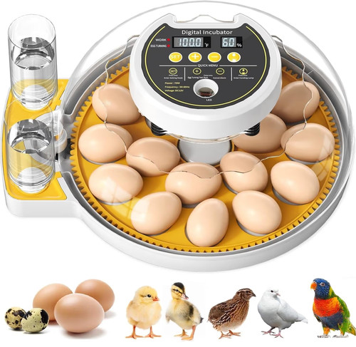 Egg incubator full automatic - egg,