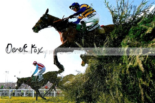 Derek fox jockey - fox, horse