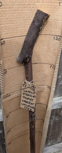 Blackthorn walking stick - blackthorn,