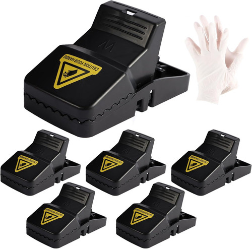 Rat traps x - rat,