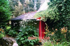 PHOTO  IRELAND RAILWAY REMAINS C1980