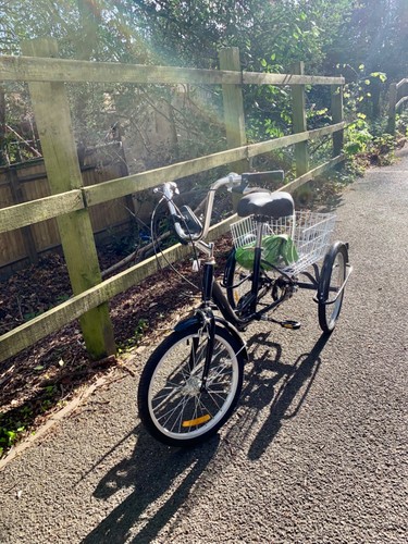 Adult teen tricycle - or,