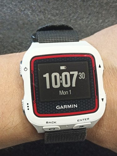 Garmin forerunner 920xt watch - garmin,