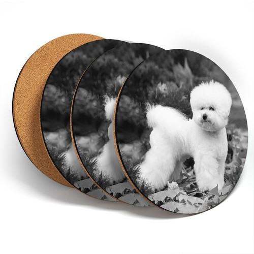 Coasters bw white - 4,