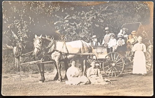 Antique rppc horse drawn - drawn, wagon