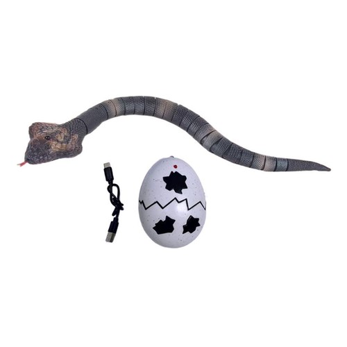 Remote control snake prank - remote,