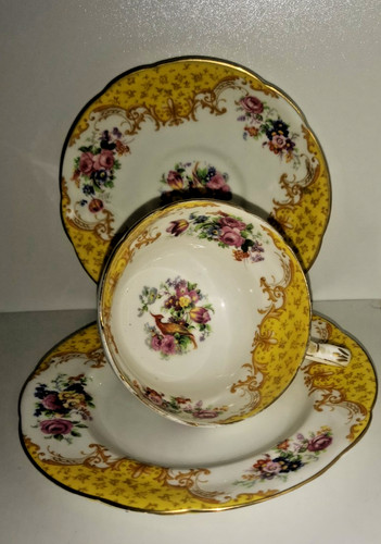 Rare paragon bone - bone, china