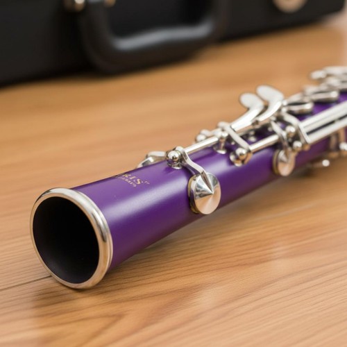 Flat clarinet easy play - b-flat,