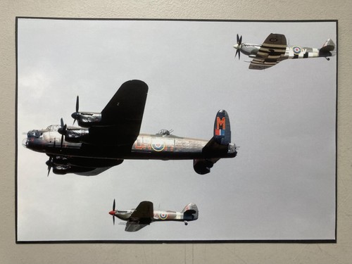 Military aviation print - aviation, bob