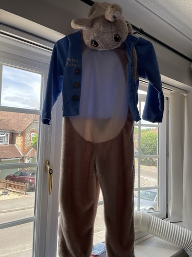 Peter rabbit costume - for, ages