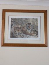 Joel Kirk Signed Amba Limited Edition Framed Print