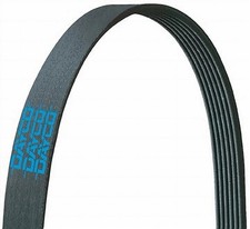 Dayco a070407 poly rib - poly,
