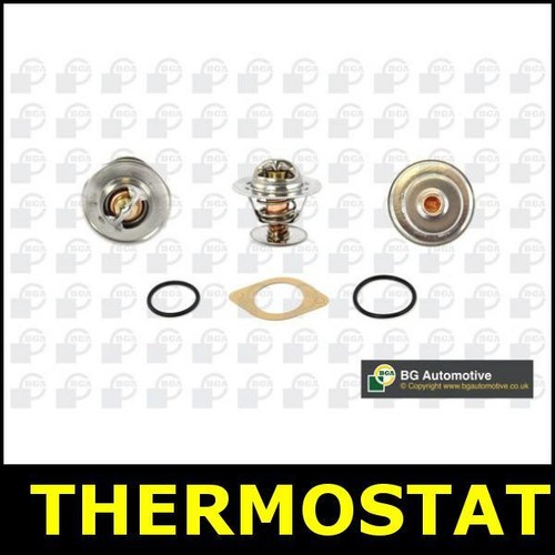 Thermostat fits nissan terrano - fits,