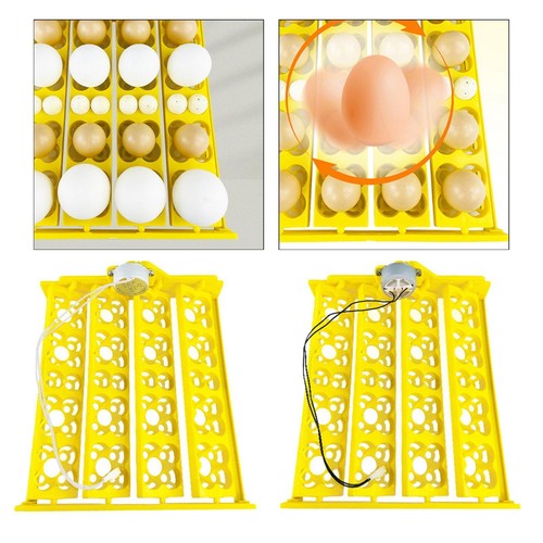 Egg incubator tray automatic - tray,