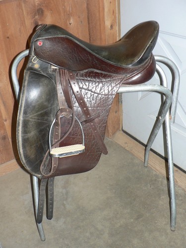 Albion dressage dark - albion,