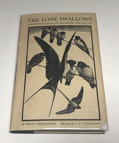 The lone swallows - swallows, henry