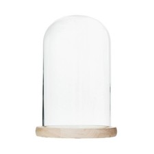 Glass Display Cloche Bell Jar