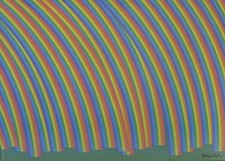 Patrick Hughes Signed limited