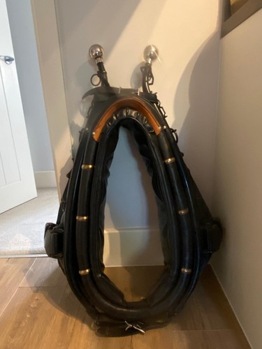 Horse harness collar and hames - collar,