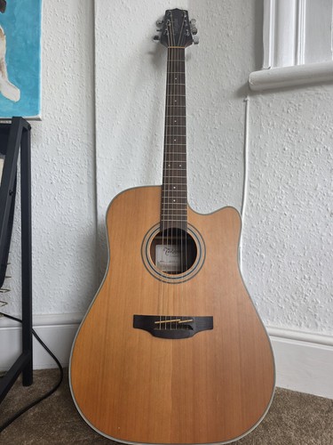 Takemine 4pd - takemine, tp-4pd
