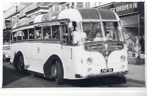 Bus photo paf36 hawkey - photo:,