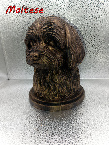 Maltese bust - maltese,