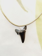 Polyester cord necklace with fossil shark tooth pendant