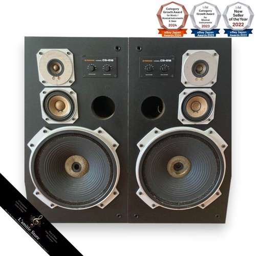 Pioneer cs616 speaker pair - cs616,