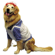Raggedy Ann Dog Costume -