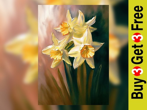 Elegant daffodil oil - elegant,