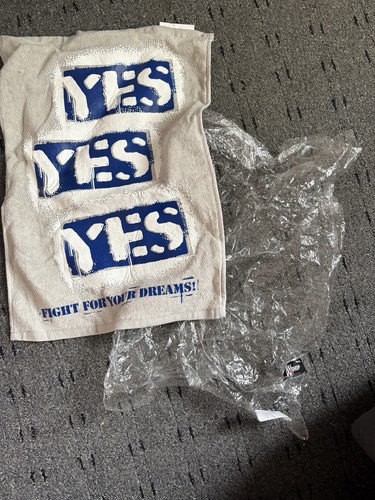 Wwe daniel bryan yes - wwe,