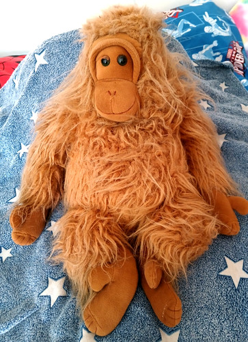 Vintage drammock orangutan - vintage,