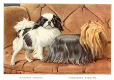 Antique Dog Artwork Louis A