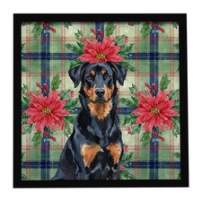 Beauceron Christmas Poinsettas Framed Metal Print WDK8506MFP88