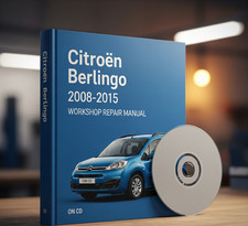 Citroen berlingo 2008 - citroen,