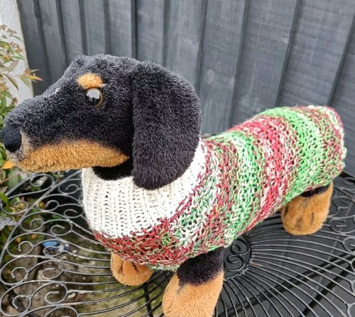 Dachshund dog aran - dachshund,