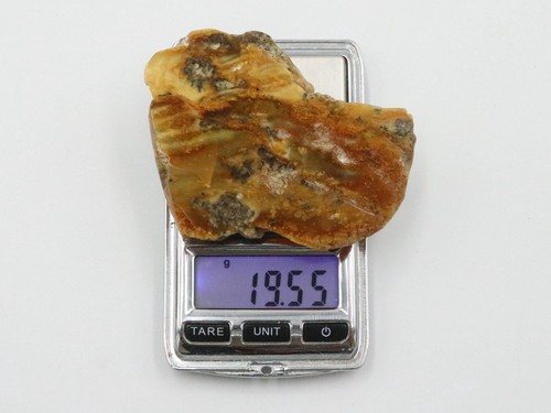 Baltic amber stone genuine - amber,