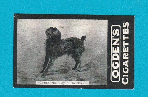 Ogdens tabs series - ', no
