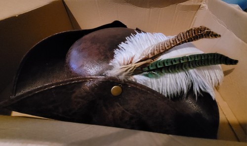 Pirate hat costume halloween - pirate,