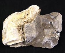 Azeztulite Black Tourmaline Vermont XL Rare Natural Crystal 130mm 797 Grams